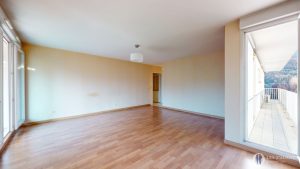  - vignette
