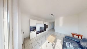  - vignette